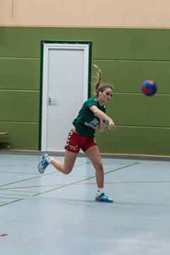 Bild 229 - Damen HSG Kremperheide/M�nsterdorf - Suchsdorfer SV : Ergebnis: 39:22